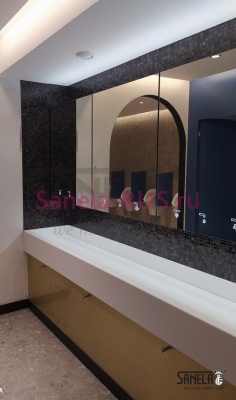 Сенсорный кран с дозатором мыла за зеркало SLZN 84F арт: 85842 Sanela Чехия (фото, схема)